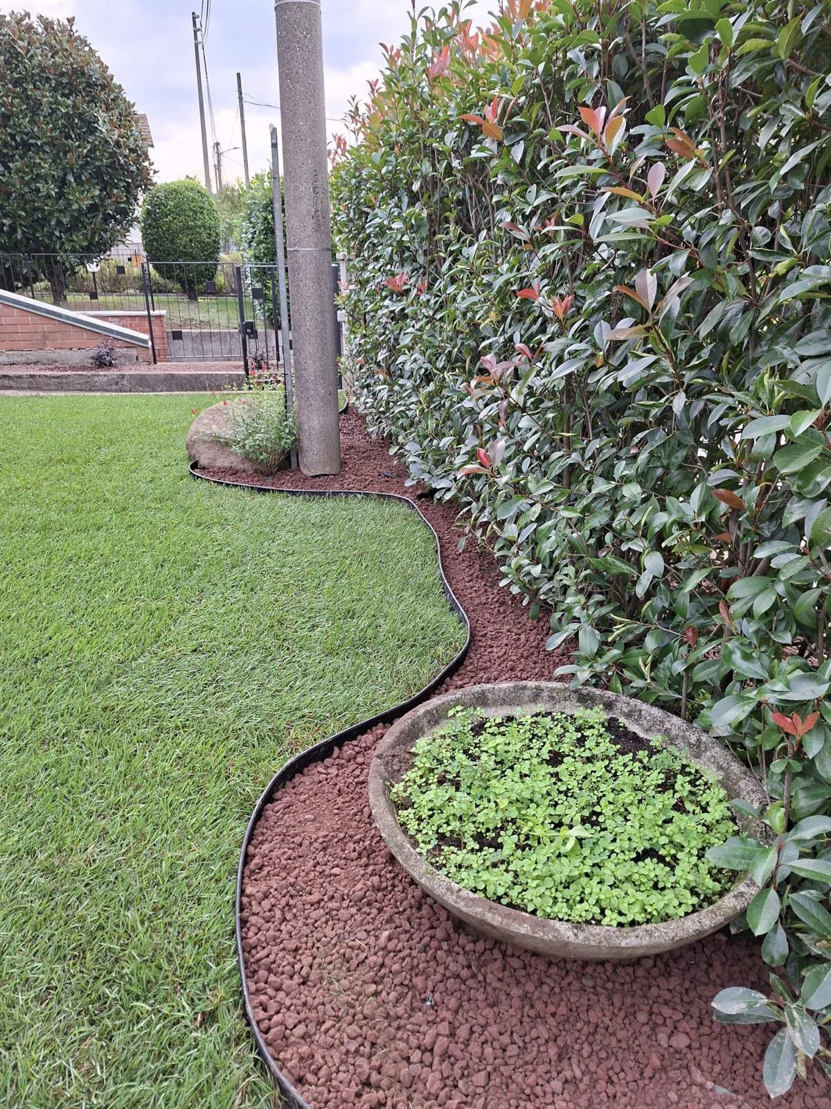 Bordure sinuose con siepi e aiuole curate