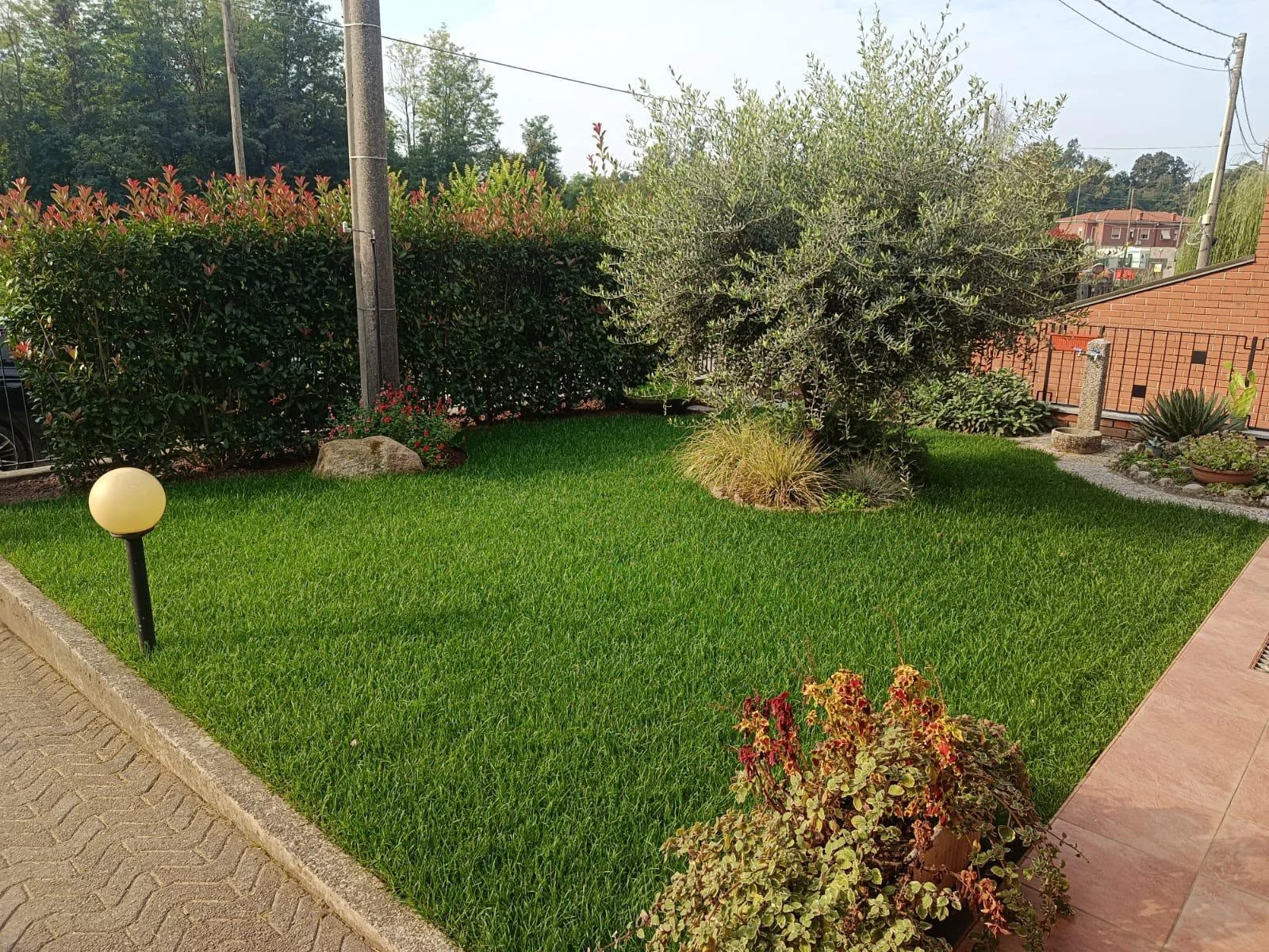 Giardino realizzato da MC Giardini