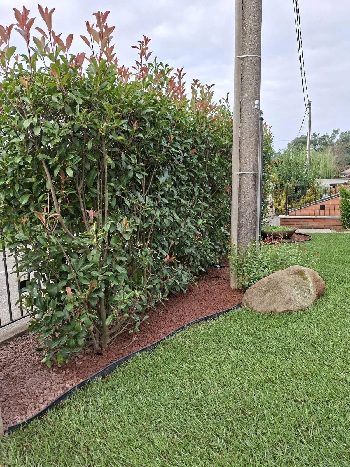 Siepe rifinita lungo il perimetro del giardino